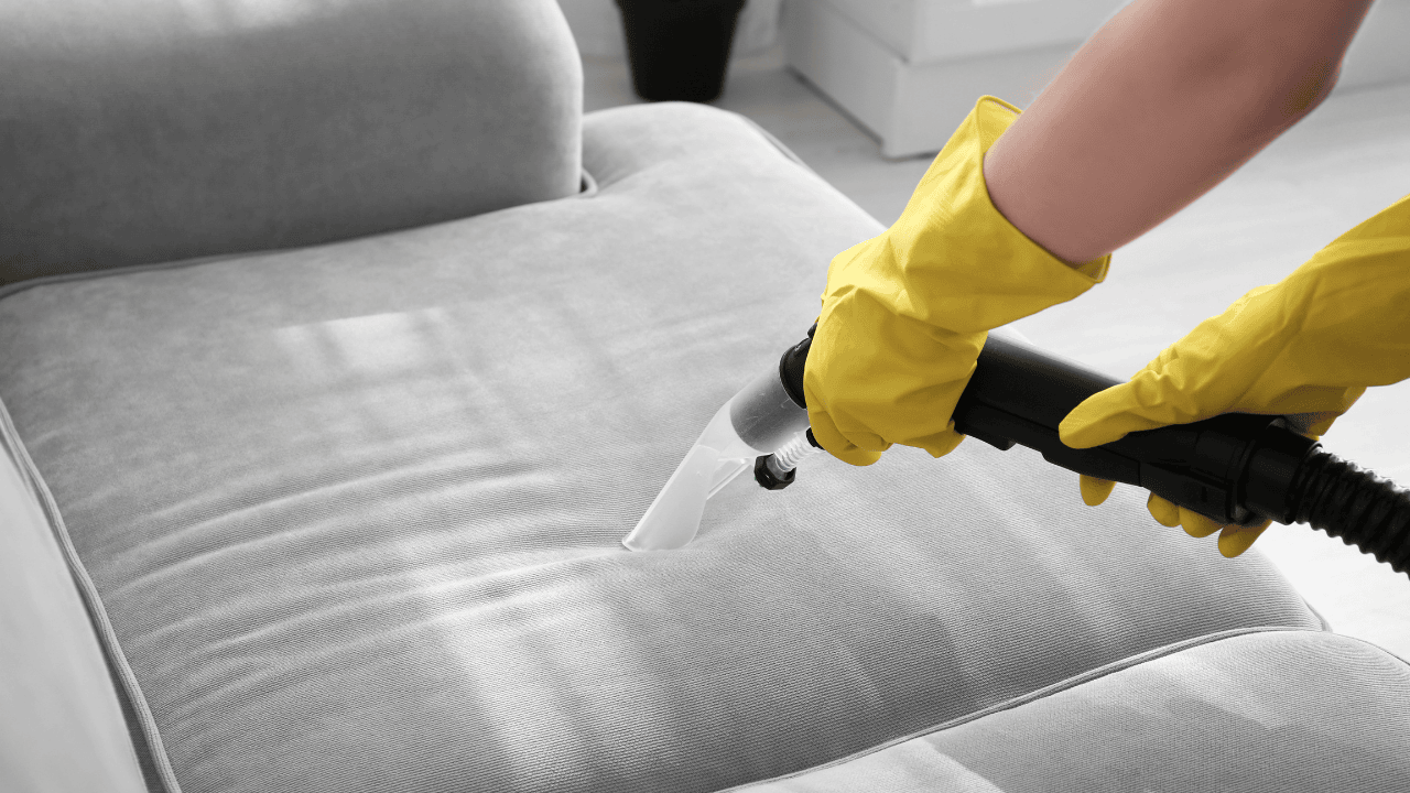 NY Steamers Carpet & Upholstery Cleaning - Upholstery Cleaning Services in New York